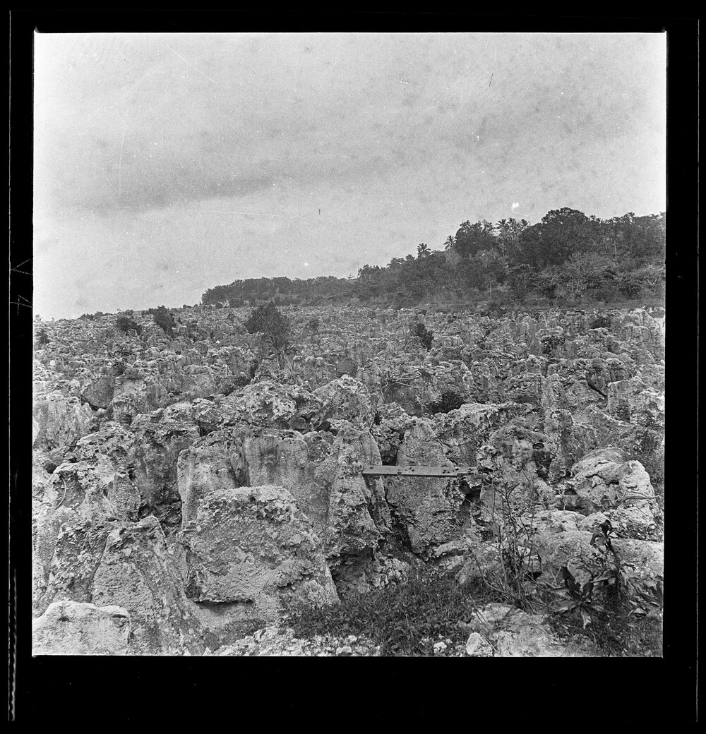 [Narau] Part of a Worked Out Phosphate Field Near the Wireless Station
