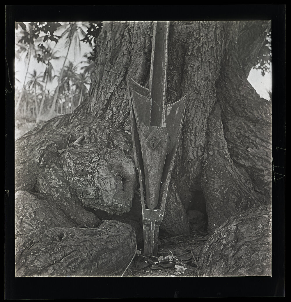 [Narau] The Broken Prow of an Old Canoe Leaning at the Foot of a Tomano tree