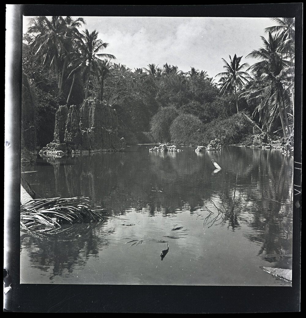 [Narau] An Inland Lagoon in Ijuw District Showing Coral Pinnacles and Creeper Covered Coral Rocks in the Background