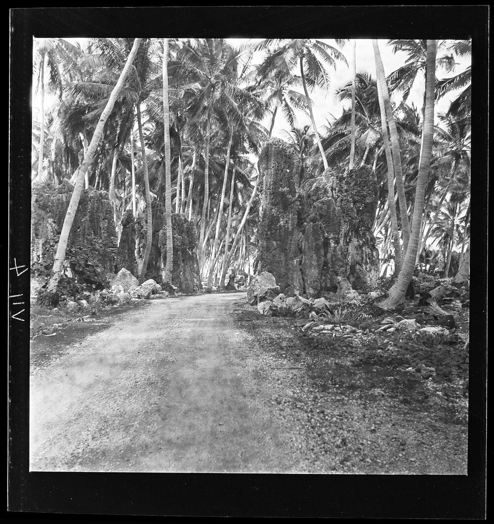 [Narau] On the Road from Anibari to Ijuw, the Road Passing Through a Natural Gateway of Coral Pinnacles