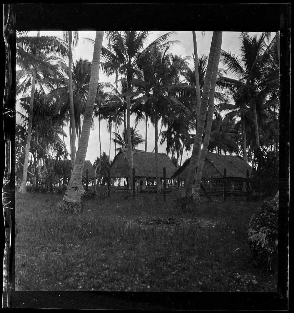 [Narau] A View of the Southwest End of the Quarantine Station