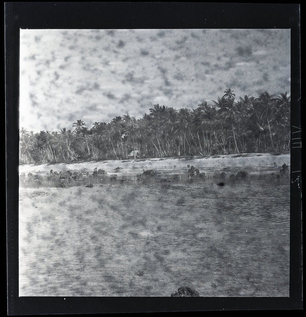 [Narau] View of Part of Yarren Coast from the Reef