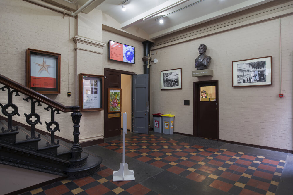 Macleay Museum Western Foyer Entrance and Landing