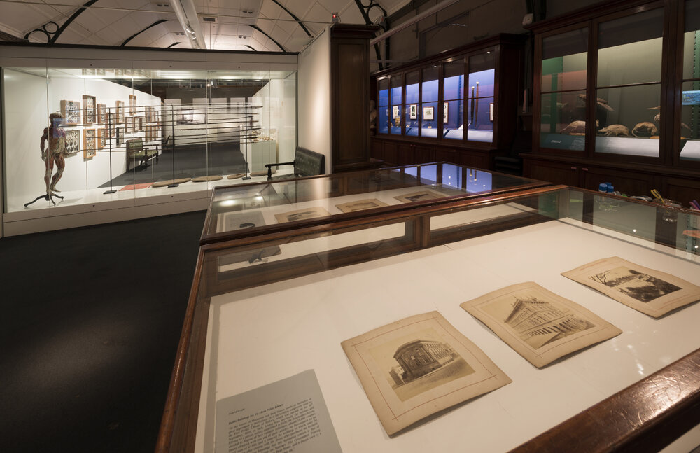 Macleay Museum Display Cabinet