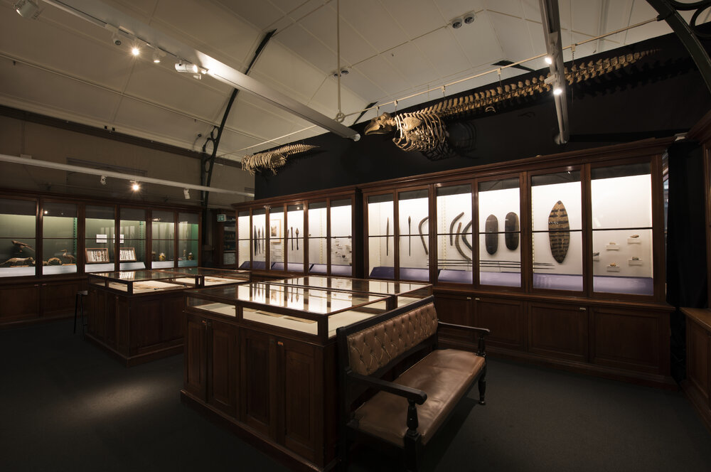 Macleay Museum Display Cabinet
