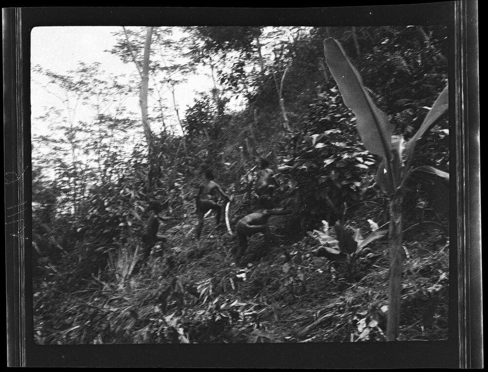 [Manum Island, New Guinea] Weeding in this Garden. Note the Steep Slope of the Garden