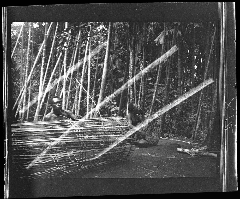 [Manum Island, New Guinea] Making a Large Fish Trap: Later Stages
