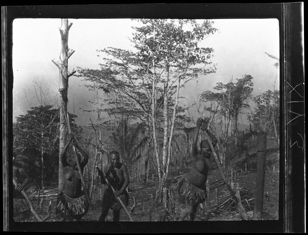 [Manum Island, New Guinea] Women Digging Holes