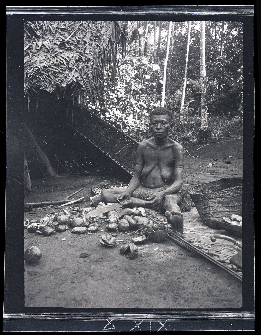 [Manum Island, New Guinea] A Woman Cutting Open i Nuts