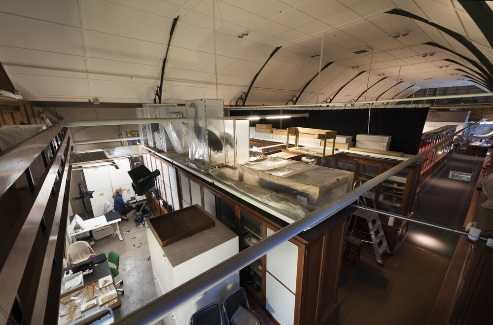 Macleay Museum Storage Cabinets