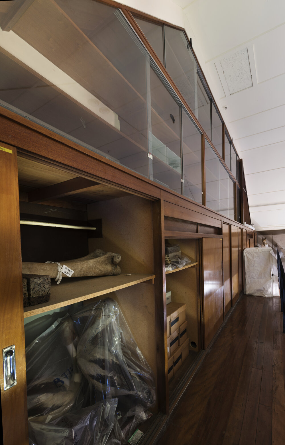 Macleay Museum Storage Gantry