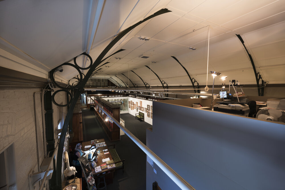 Detail of Macleay Museum Ceiling