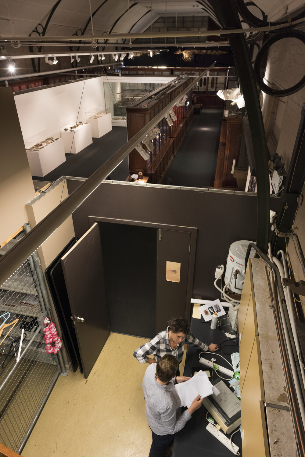 Macleay Museum Kitchen