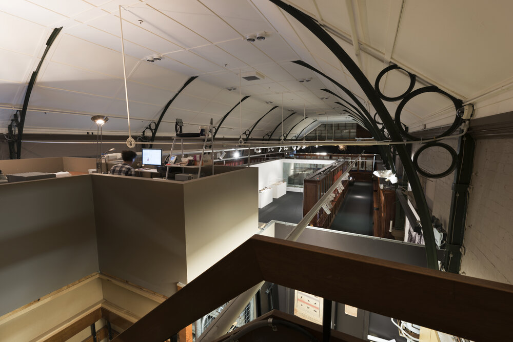 Detail of Macleay Museum Ceiling