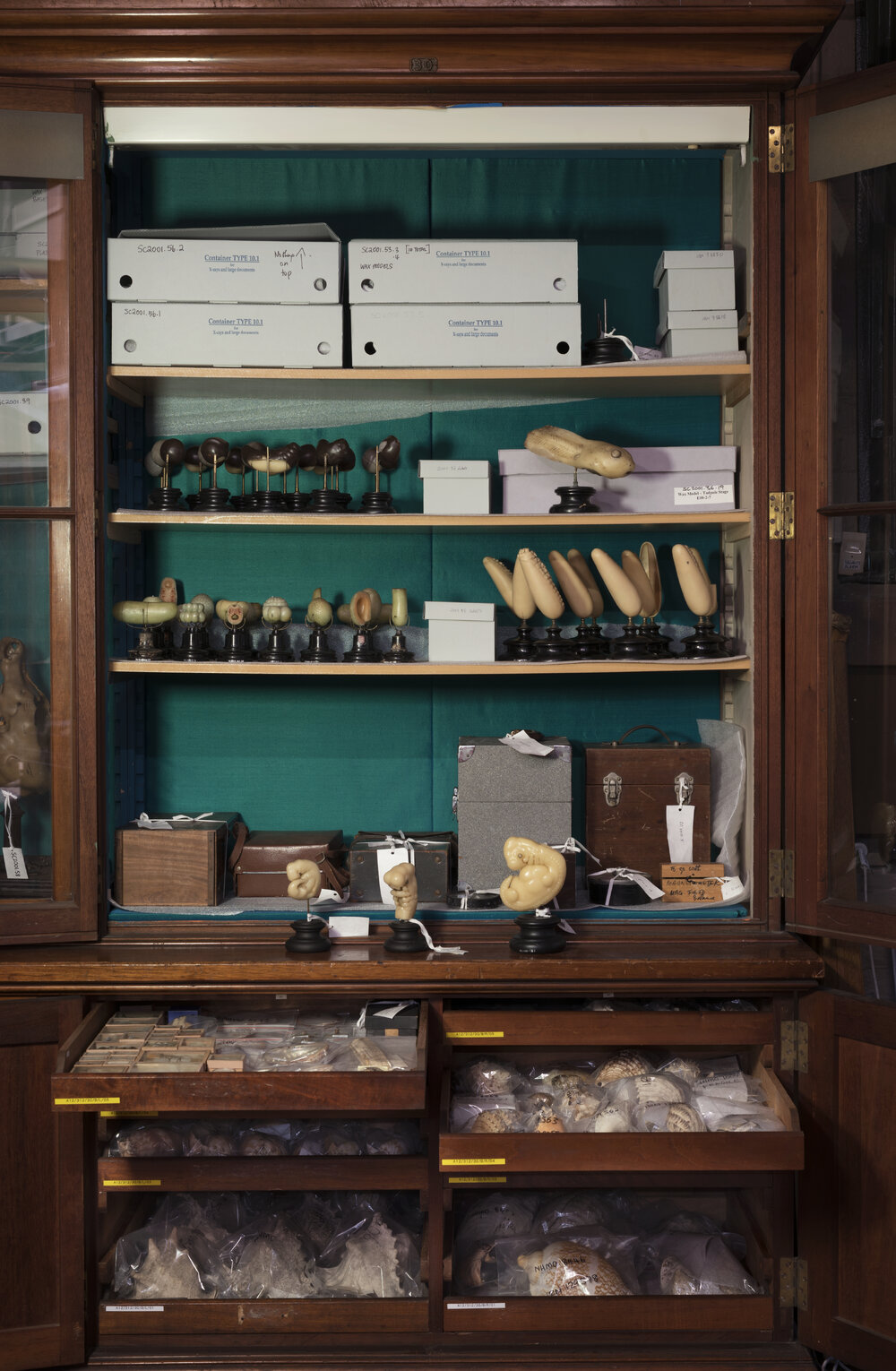 Macleay Museum Storage Cabinets