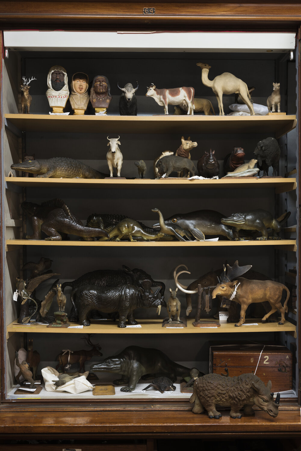 Macleay Museum Storage Cabinets