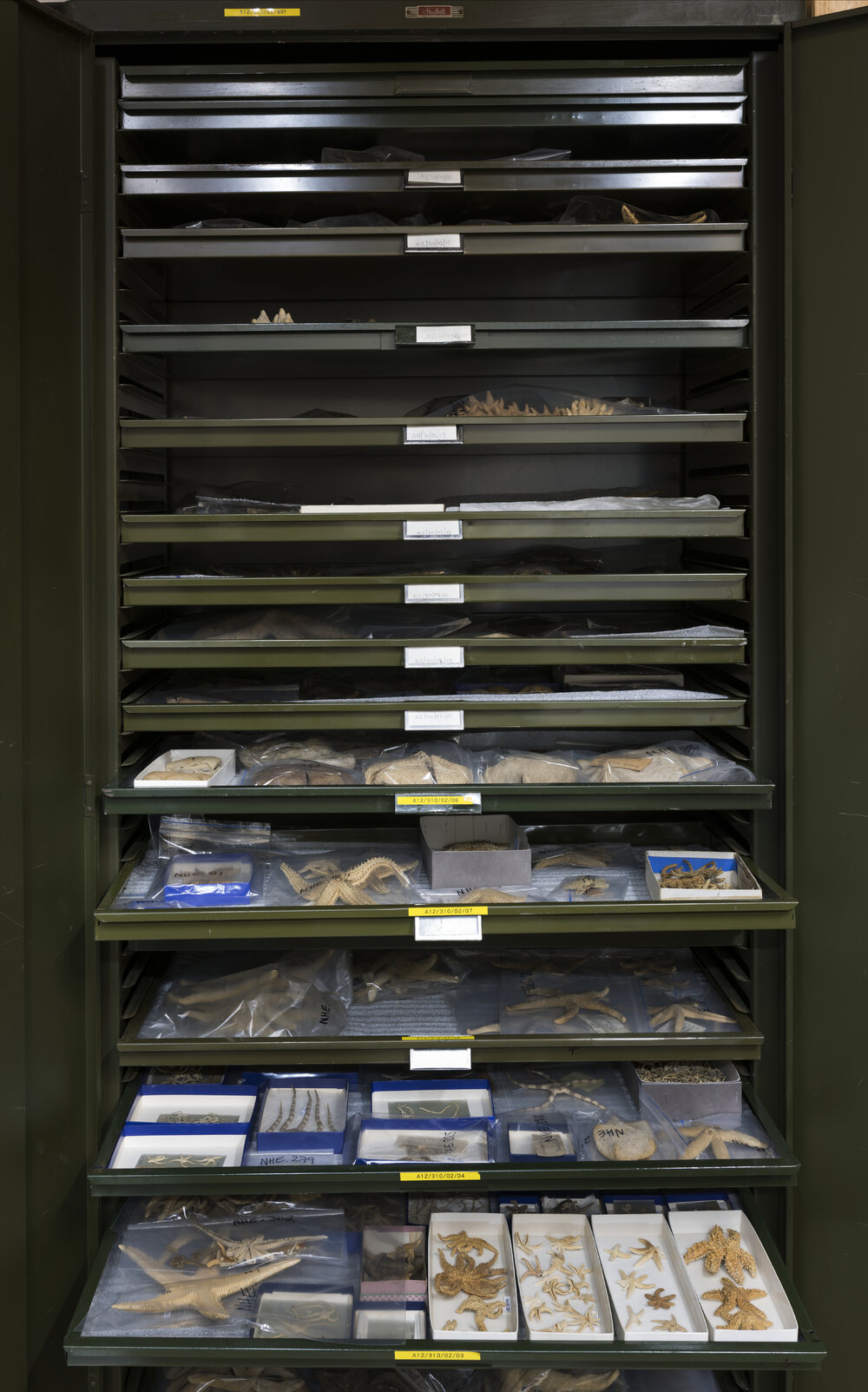 Macleay Museum Storage Cabinets