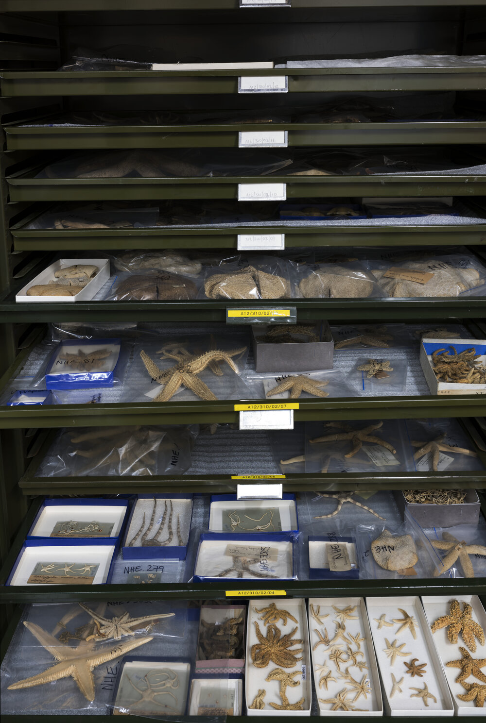 Macleay Museum Storage Cabinets