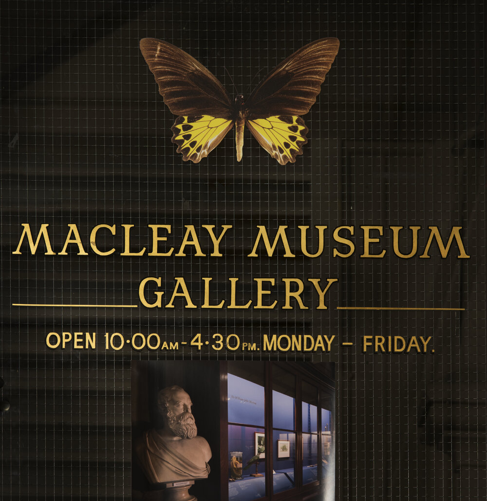Stairs and Sign on Door to Macleay Museum Gallery