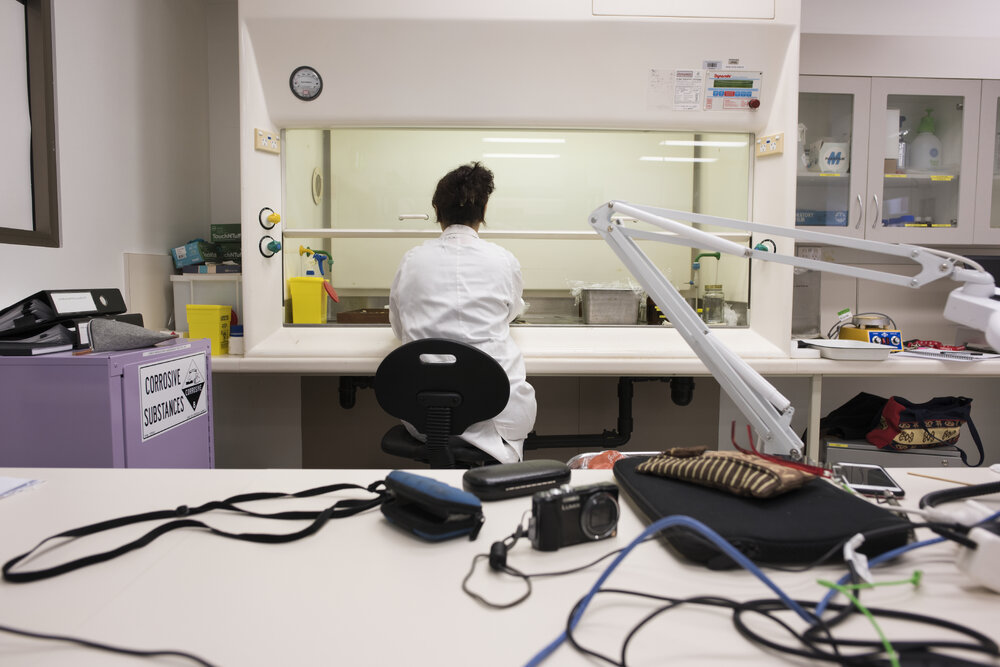 Sydney University Museum's Conservation Laboratory