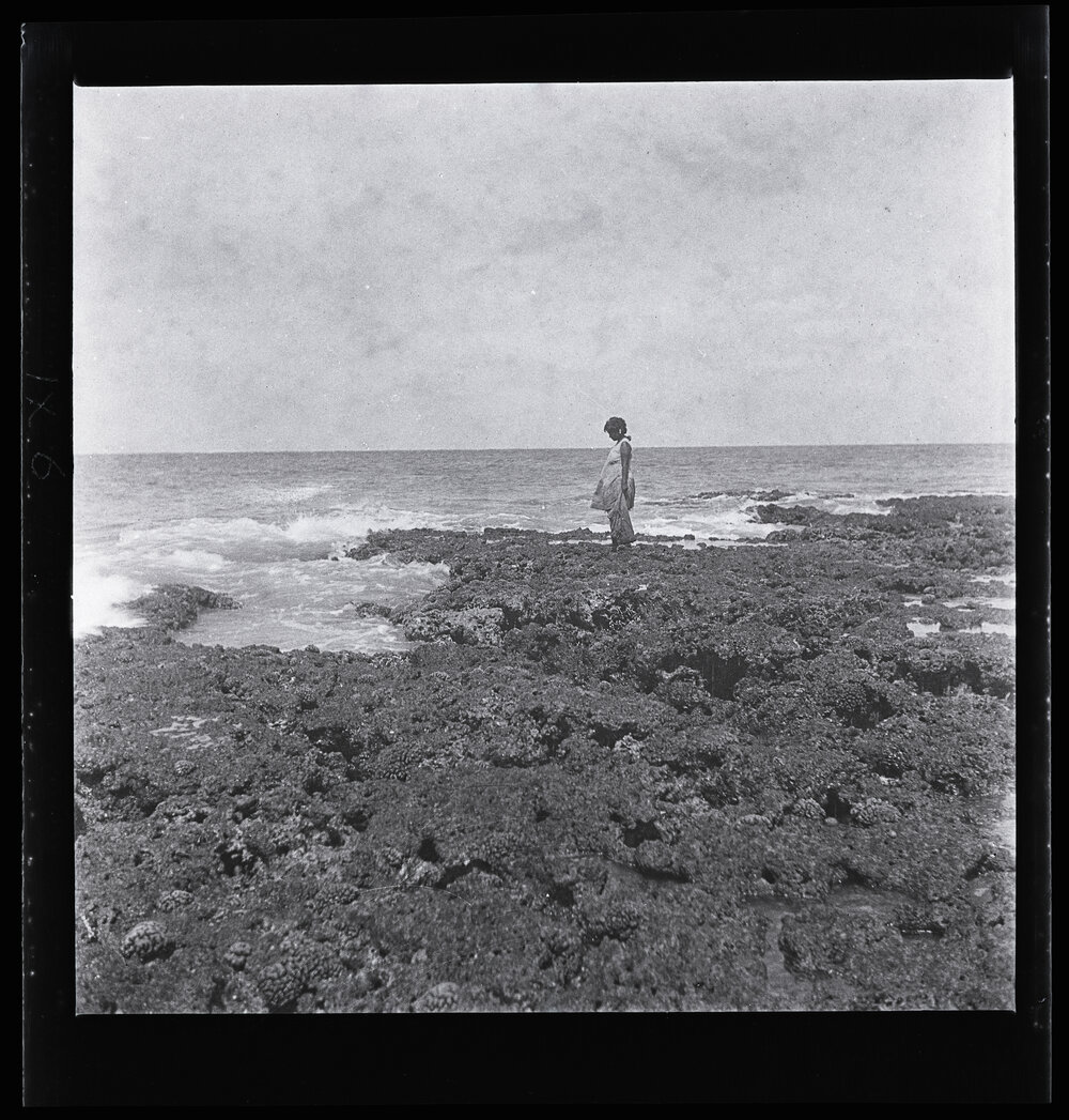 [Narau] A Woman Gathering Shellfish at the Edge of the Reef at Very Low Tide