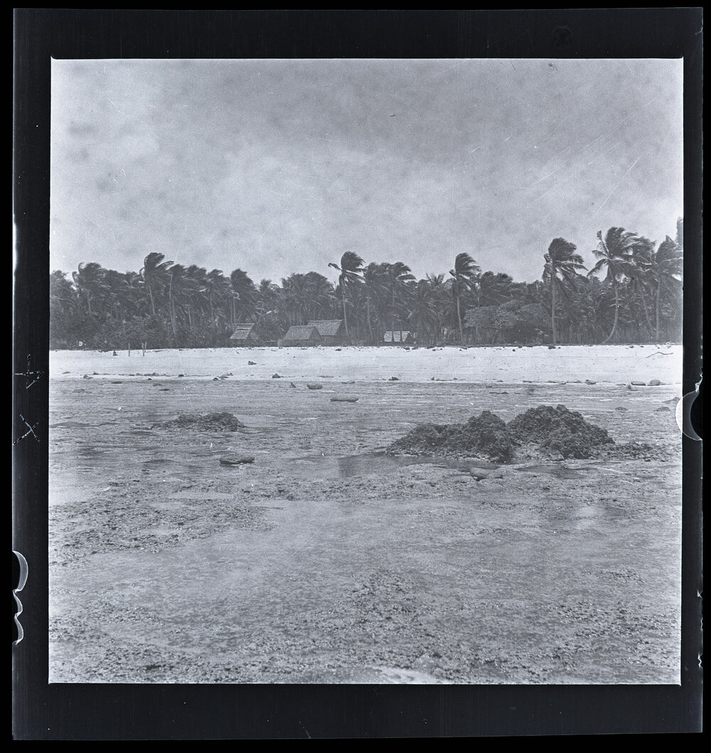 [Narau] A Homestead in Anabar, from the Reef at Low Tide
