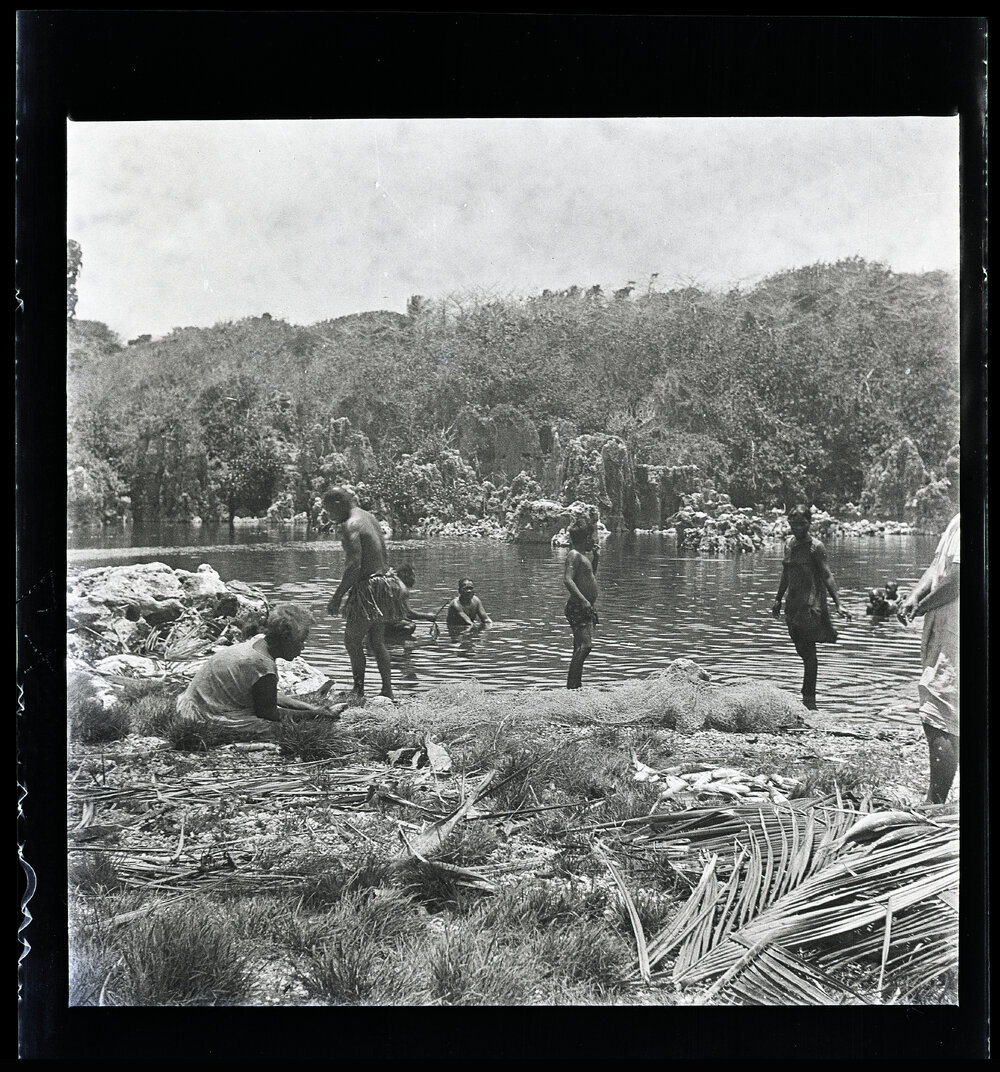 [Narau] Catching ibija 