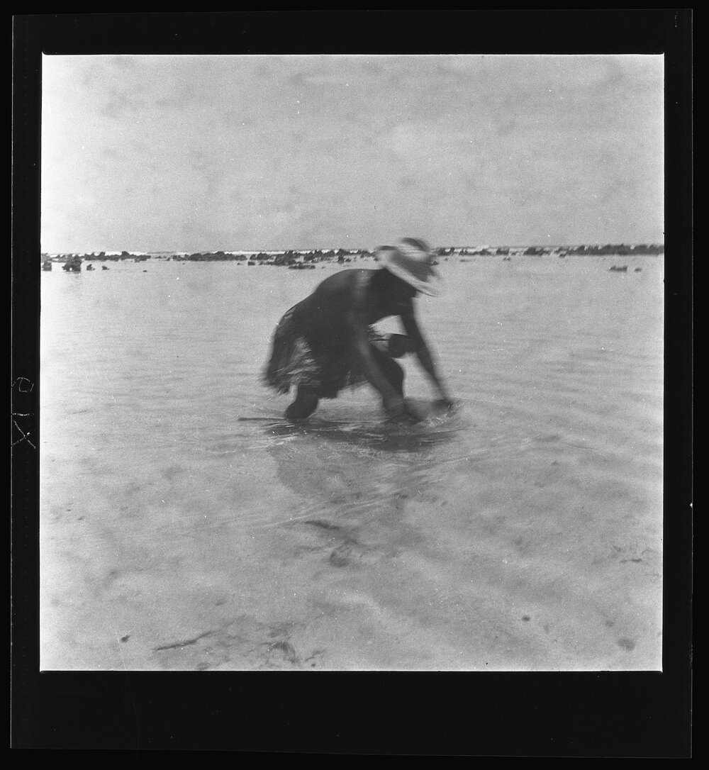 [Narau] Domawaije Catching ibija Fry: Scooping them up