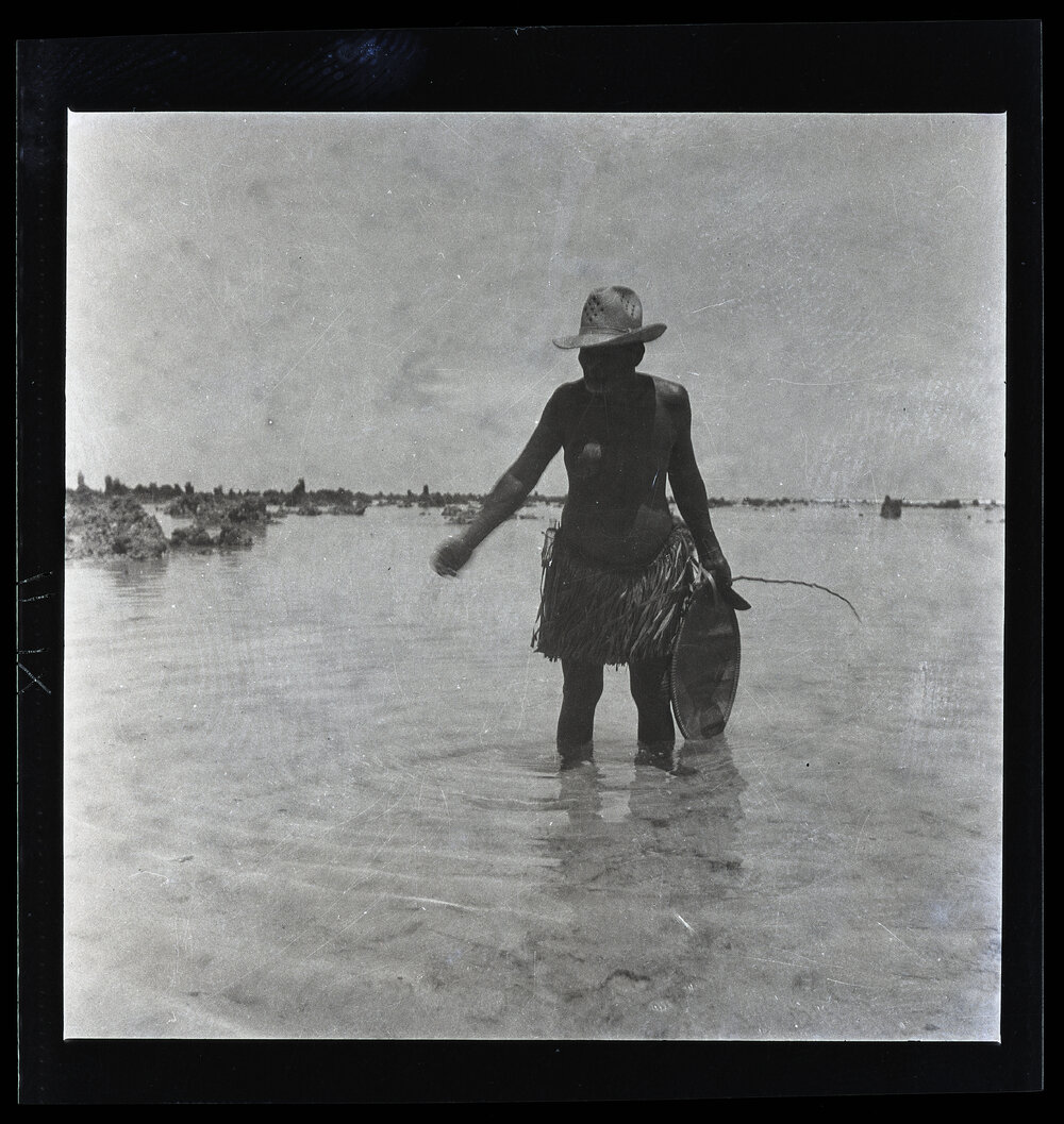 [Narau] Domawaije Catching ibija Fry: Scattering Oil on the Water to Calm it