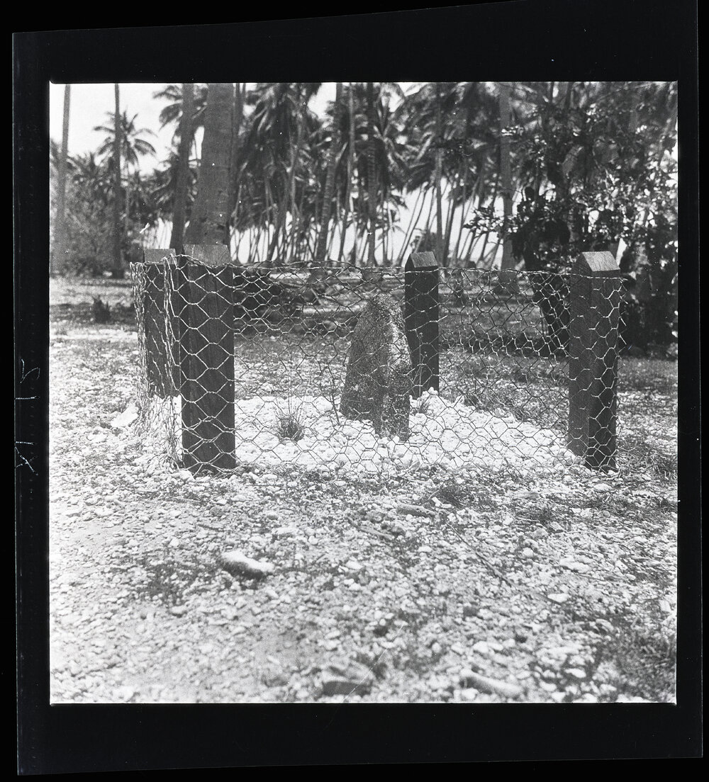 [Narau] The Altar Stone of the War and Thunder God Taburige (Anetan) 