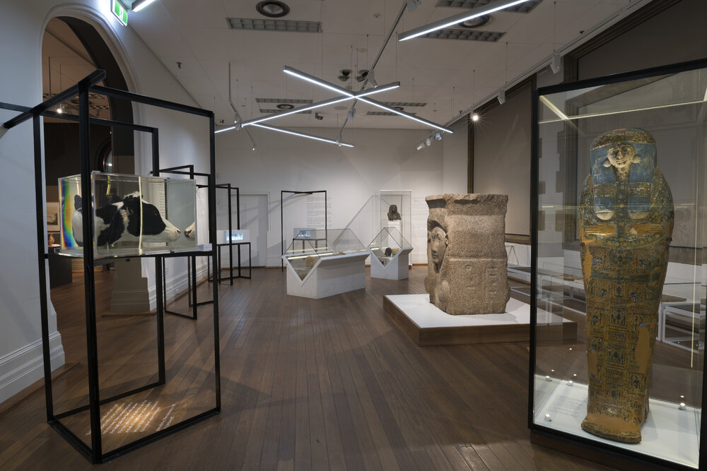 Death Magic Exhibition at Nicholson Museum