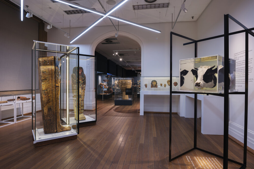 Death Magic Exhibition at Nicholson Museum