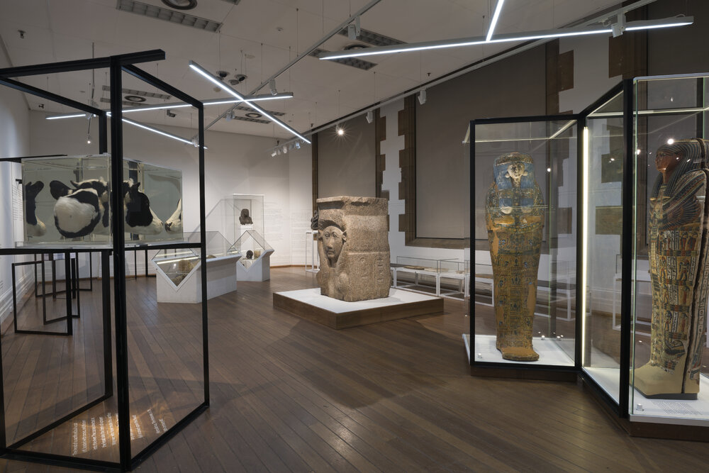 Death Magic Exhibition at Nicholson Museum