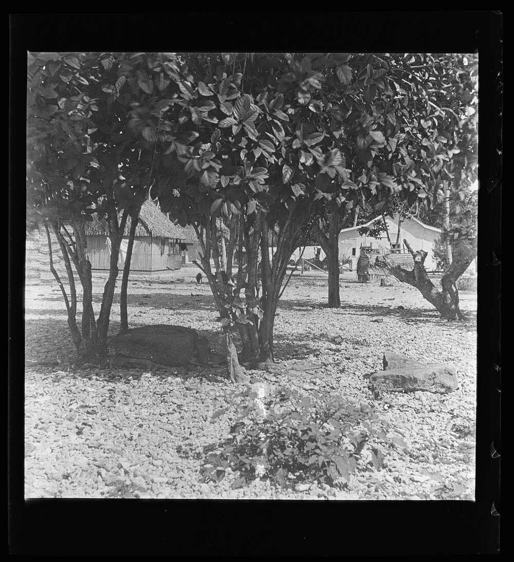 [Narau] Altar Stones of Taburig Belonging to Chief Auweida (From South-West))