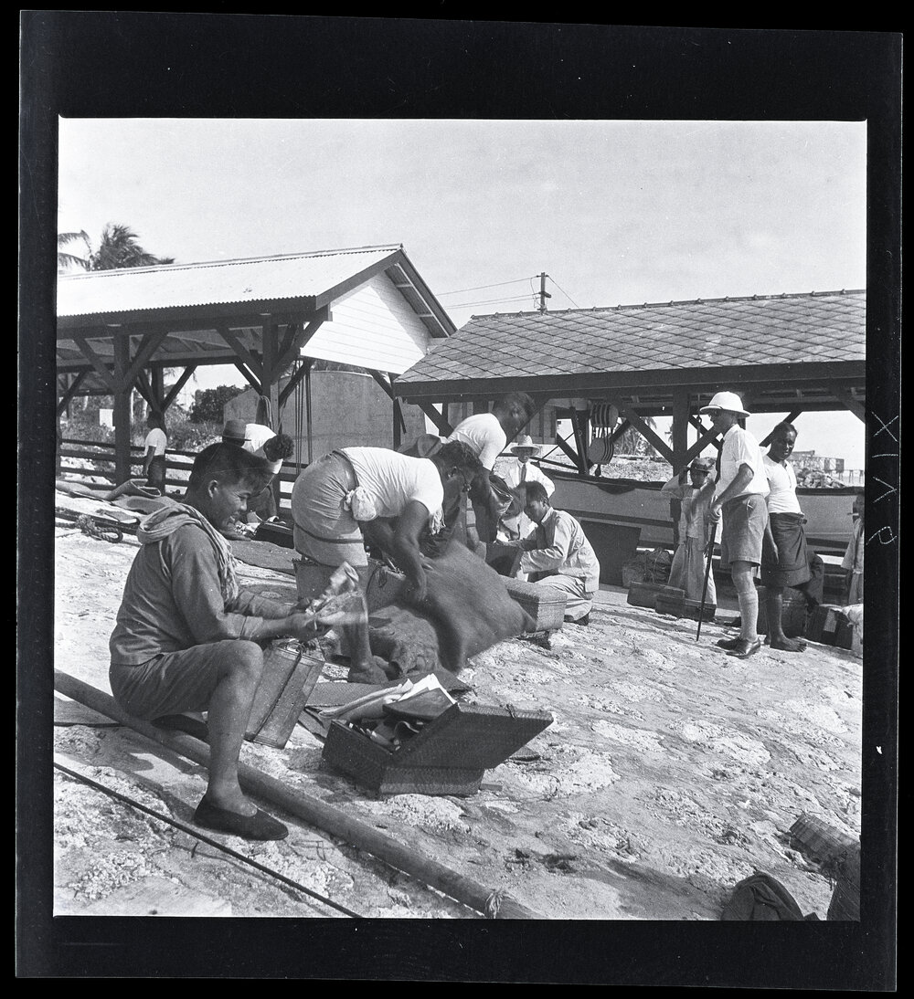 [Narau] A Close-up of the Search: Mau (in Glasses) Feeling a Pillow