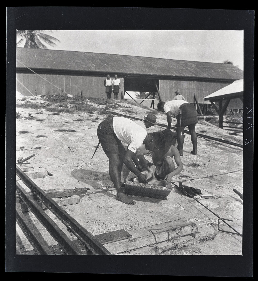 [Narau] A Banaban Policeman Searching; Note the Old Fashioned Bayo&shy; Nets used for Spearing Soap