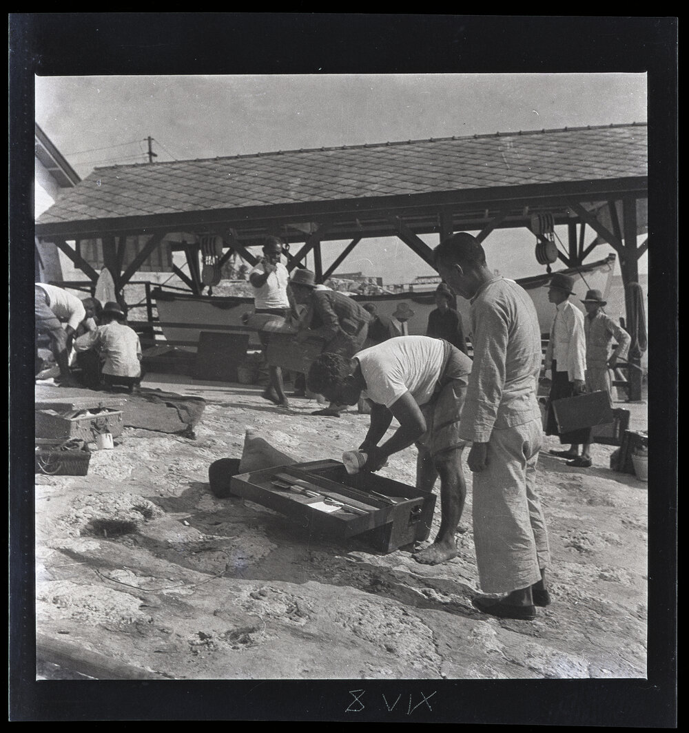 [Narau] Mau Searching a Wooden Box