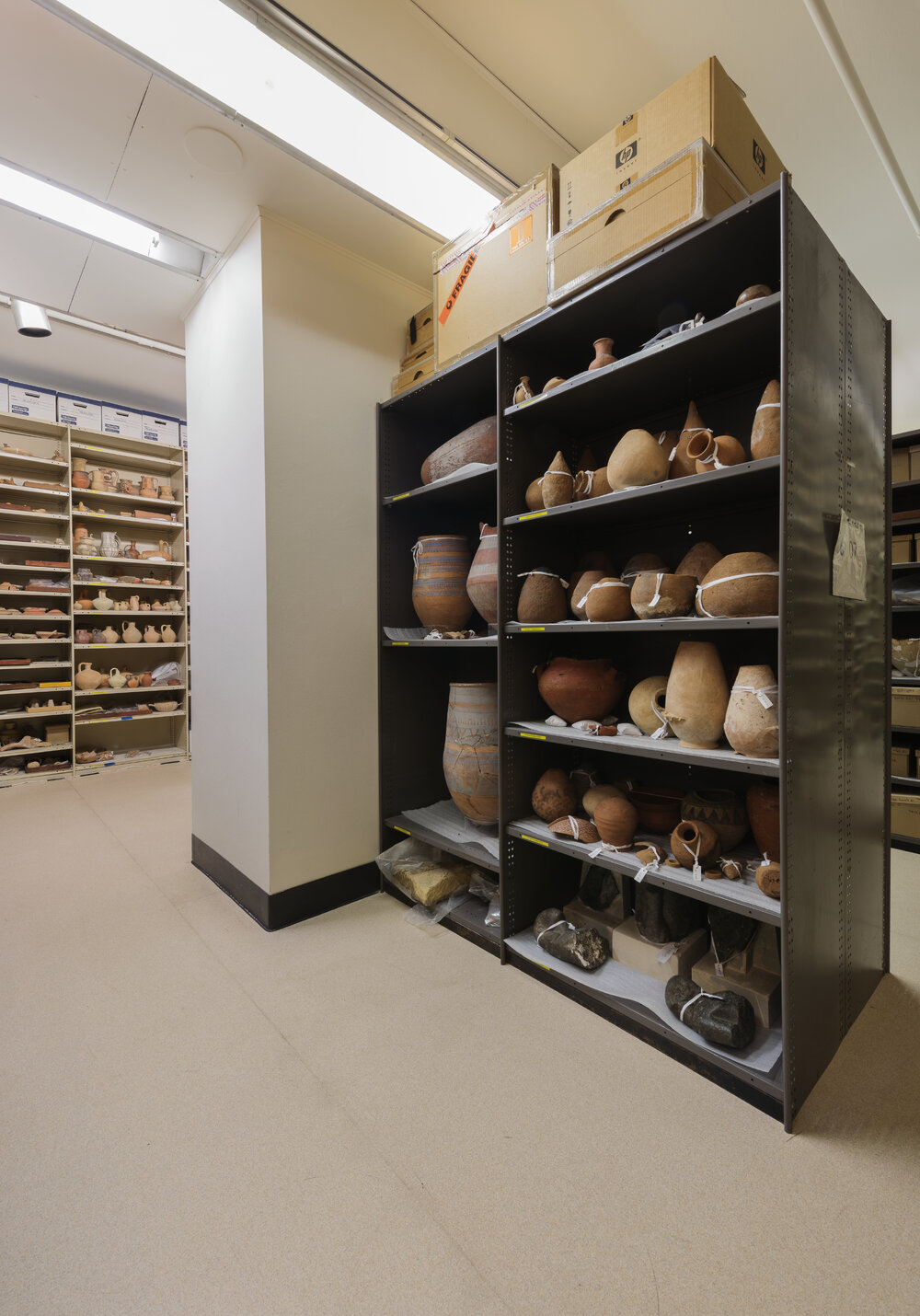 Nicholson Museum Store