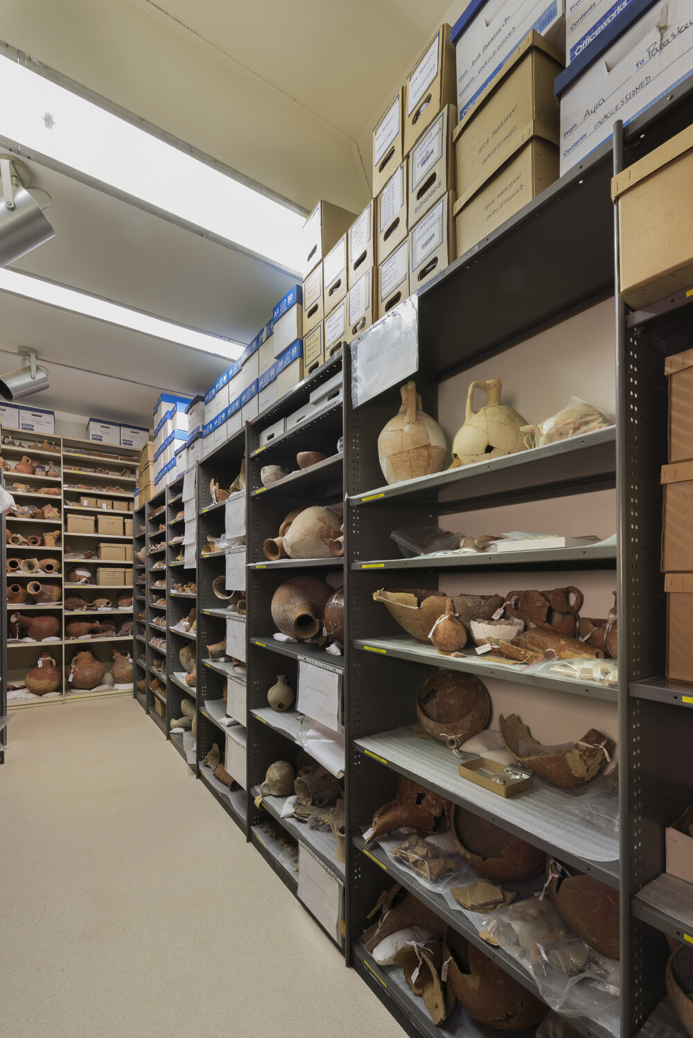 Nicholson Museum Store