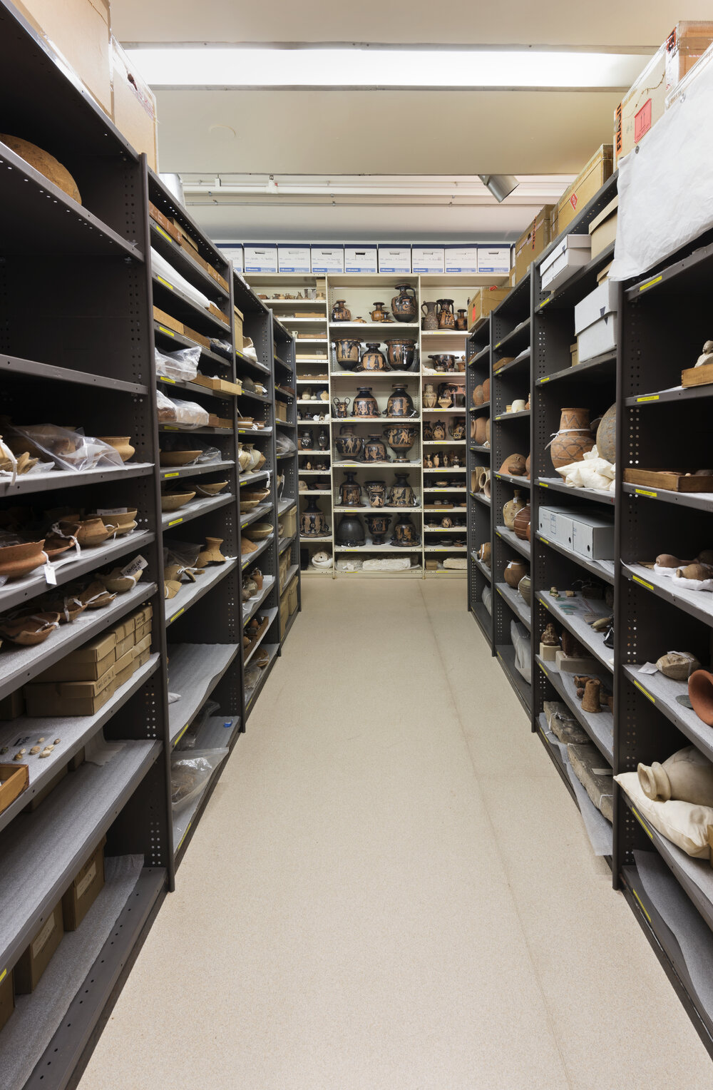 Pots on Shelves in the Nicholson Museum Store