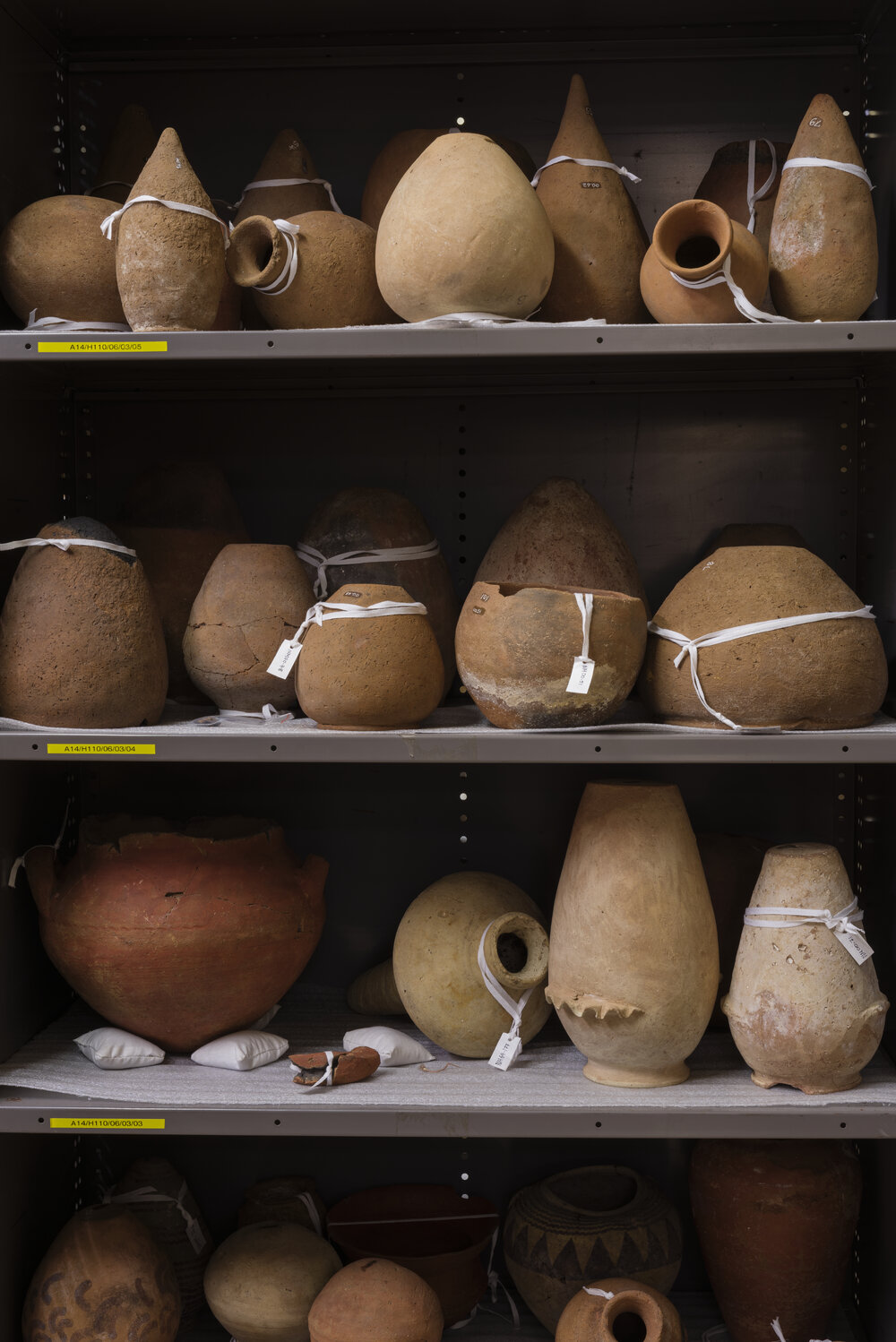 Pots on Shelves in the Nicholson Museum Store