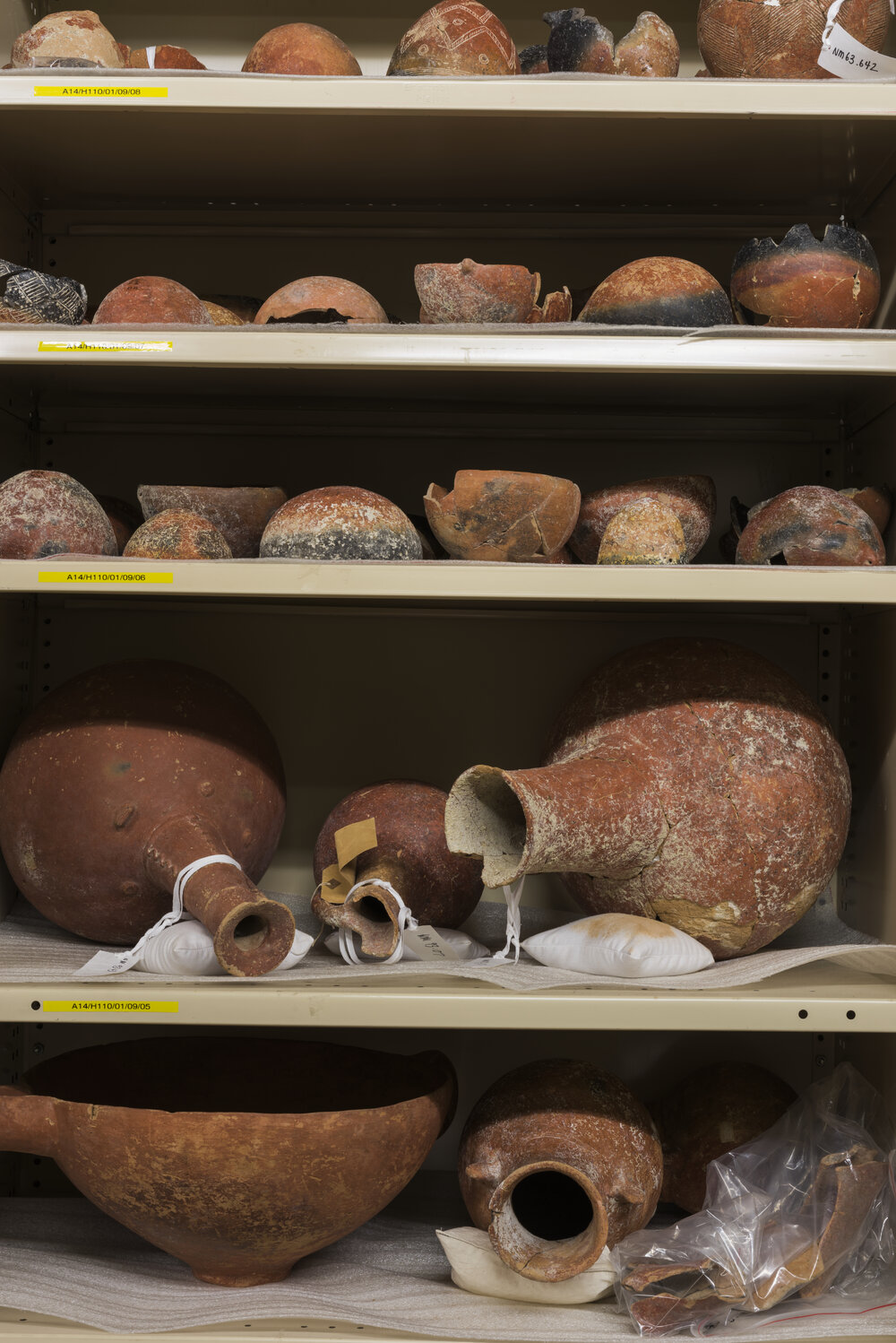 Pots on Shelves in the Nicholson Museum Store