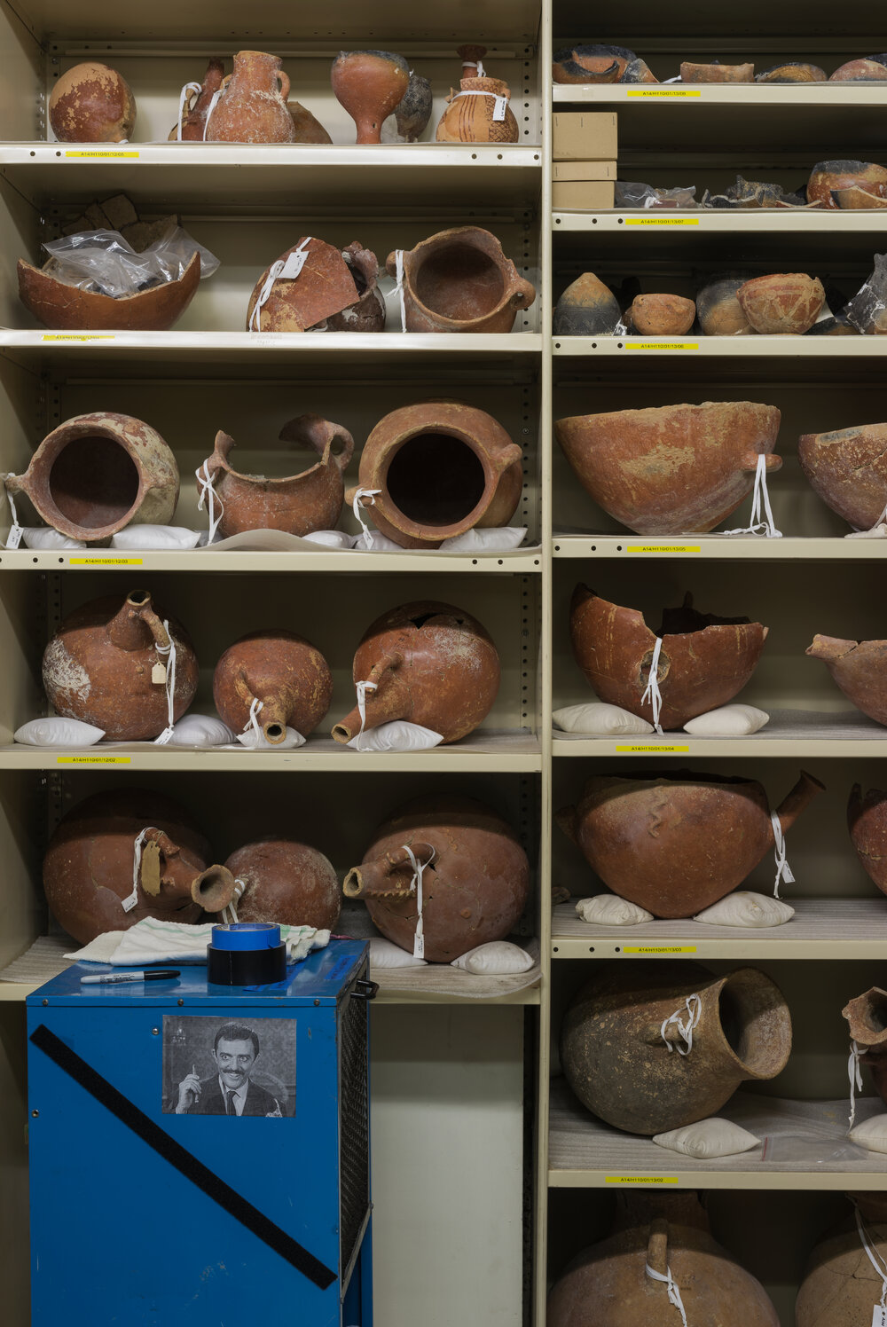 Pots on Shelves in the Nicholson Museum Store