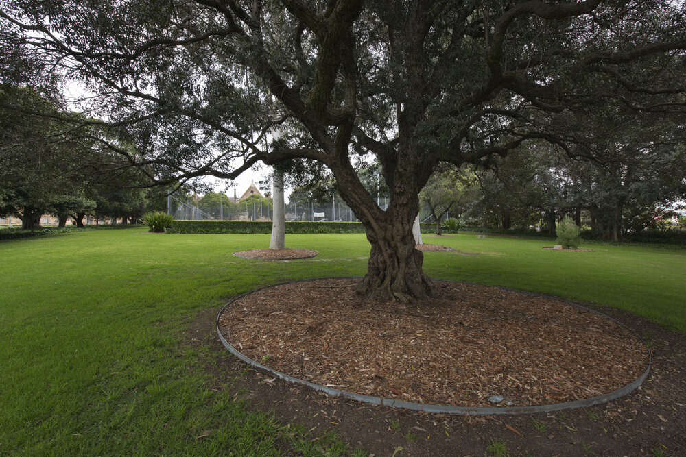 View of Tennis Courts on the Chau Chak Wing Museum Site