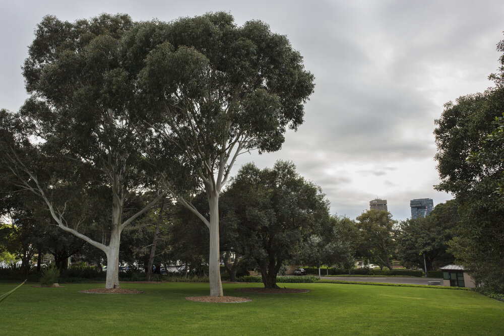 View of Tennis Courts on the Chau Chak Wing Museum Site