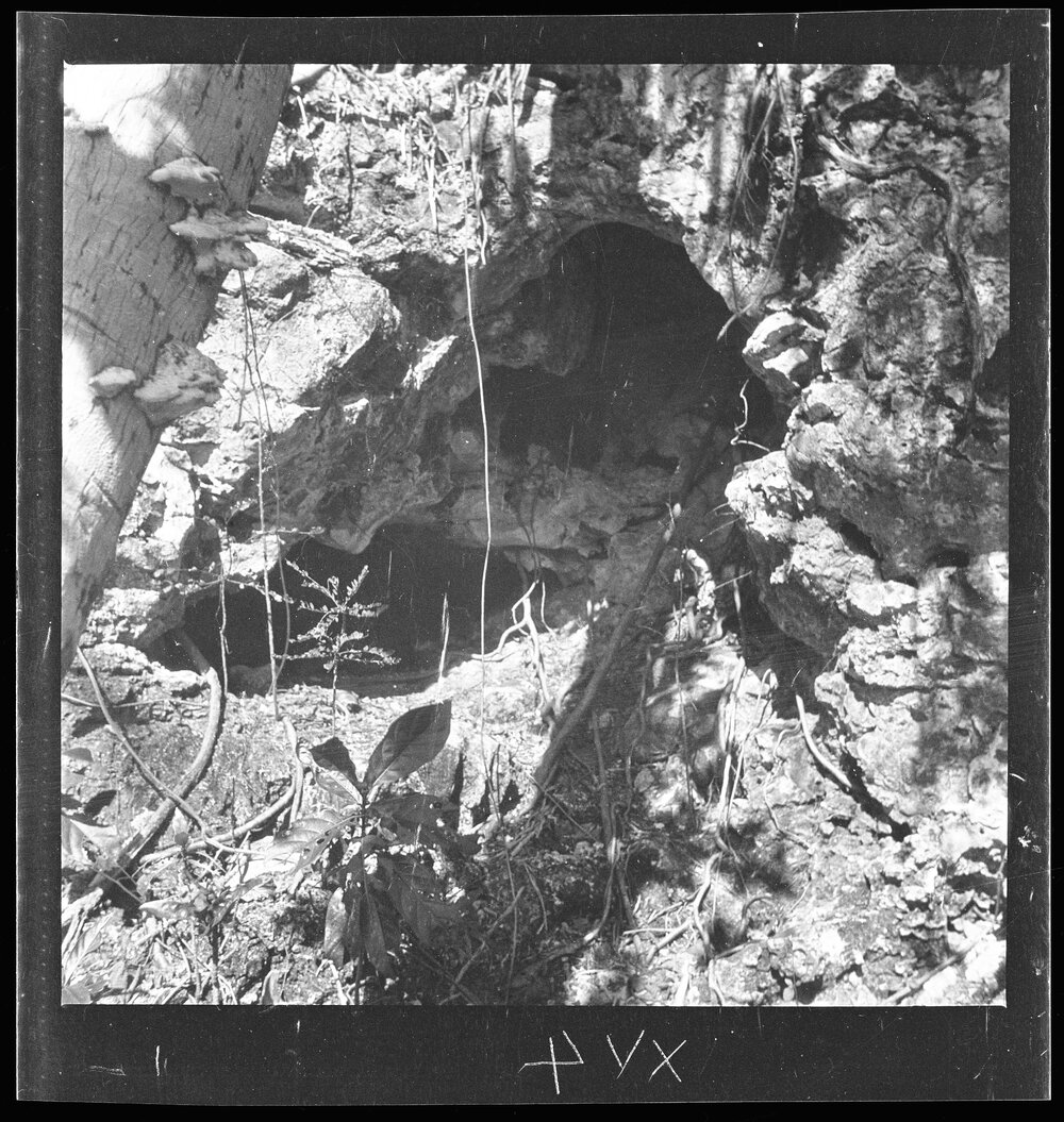 [Narau] The Cave where the Two Women Lived who Died from Eating the Octopus