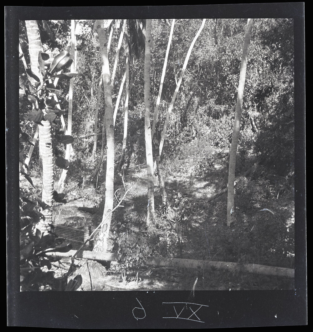 [Narau] Site of the Well from Which the Birds got Water while Build&shy;ing the Canoe