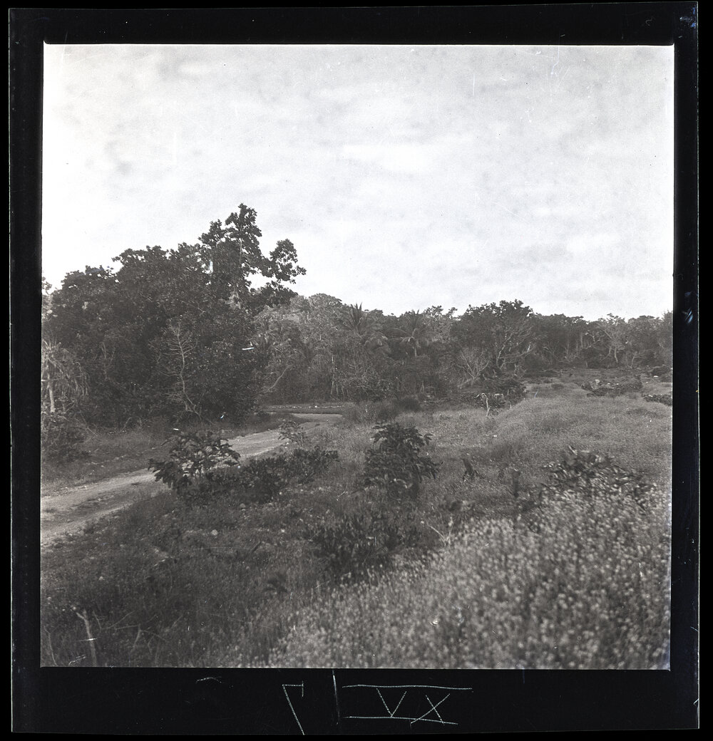 [Narau] Looking Eastwards on the Plateau Near the Wireless Station