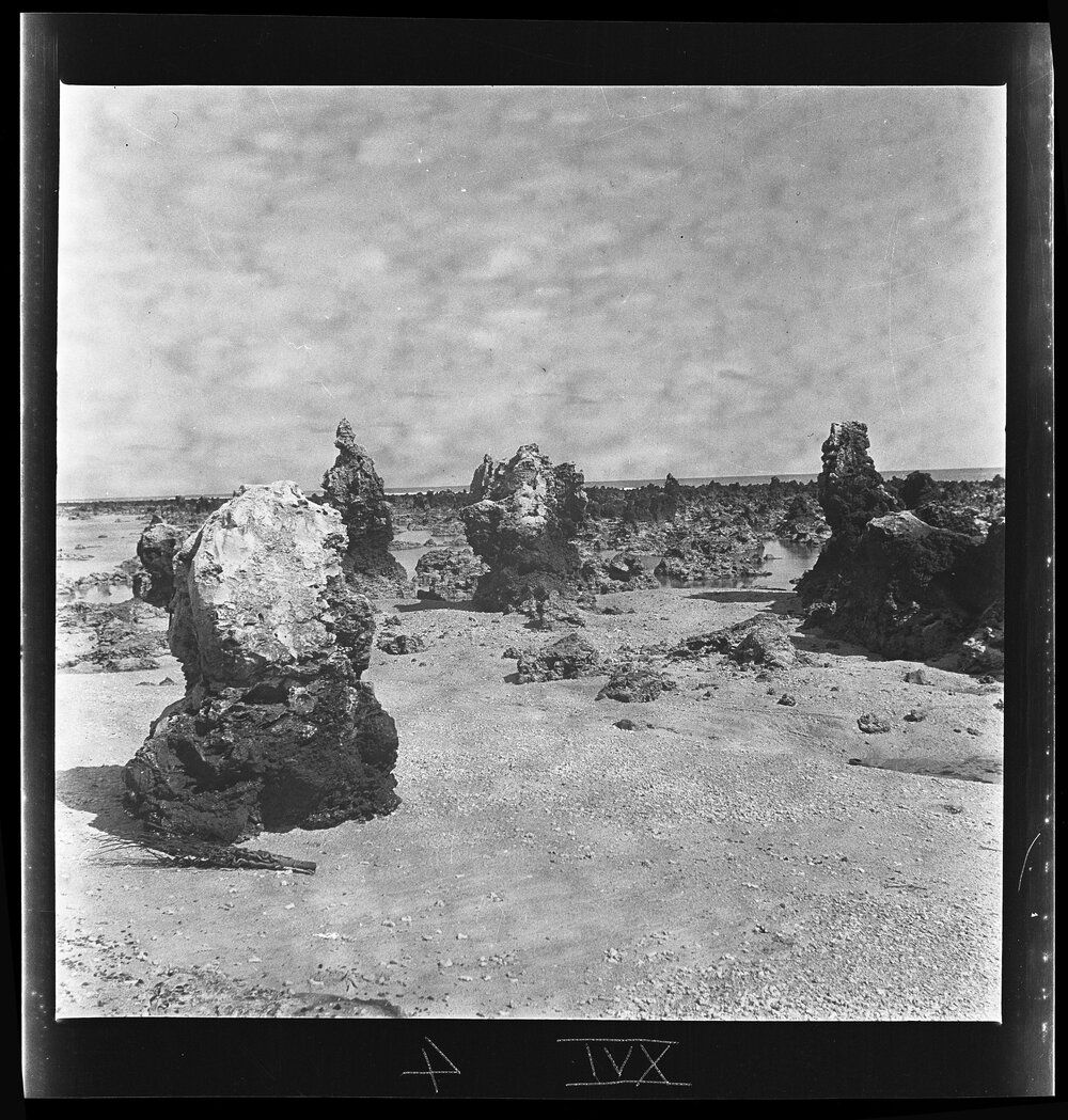 [Narau] On the Beach at Anetan where the Deboe Girl Came Ashore in her Drifting Coconut Shell
