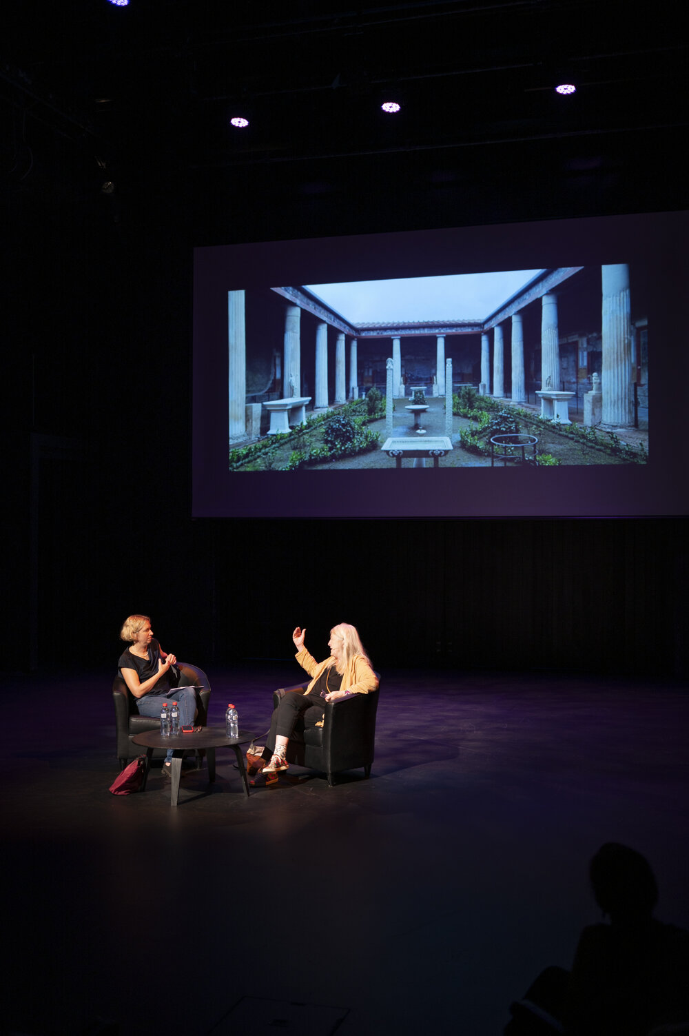 Dame Mary Beard at Seymore Centre
